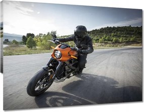 Vászonkép 60x60 Harley Davidson Motorkerékpár