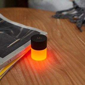 Fekete LED dimmelhető asztali lámpa üveg búrával (magasság 6 cm) Lemelia – Gingko