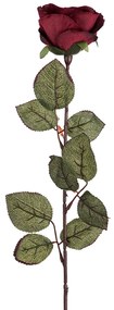 Művirág - Nagyvirágú rózsa, 72 cm, bordó
