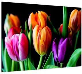 Tulipánok képe fekete alapon (üvegen) (70x50 cm)