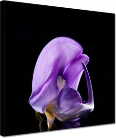 Vászonkép 30x30 Nőnap Ajándék Love