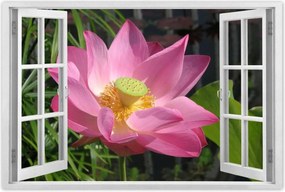 Poszterek 90x60 Lótusz Lótuszvirág