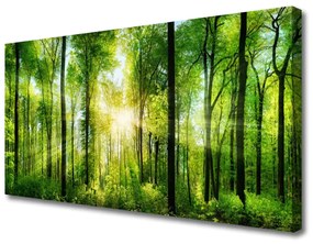 Vászonkép Természet Erdei fák 125x50 cm