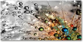 Fotó üvegkép Pitypang magok 140x70