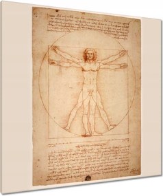 Vászonkép 90x90 Da Vinci, a vitruviusi ember