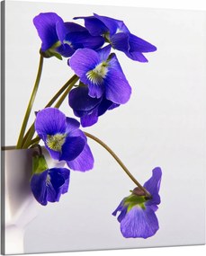 Botanika vászonkép Lila ibolyák 80x100