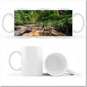 Bögre fényképpel Folyó Trópusi erdő