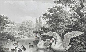 Dekoratív Fotótapéta Furnér Flizelin A természet eleganciája 416x254 Ragasztó