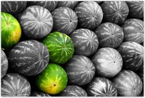 Poszterek 155x105 Három színes görögdinnye