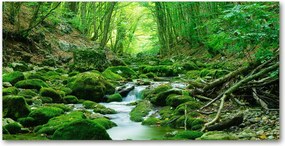 Fotó üvegkép Patak az erdőben 140x70