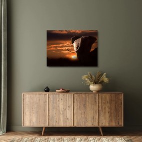 Elefánt képe (üvegen) (70x50 cm)