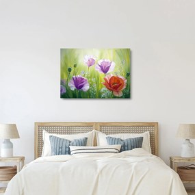 Kép - Pipacsok (üvegen) (70x50 cm)