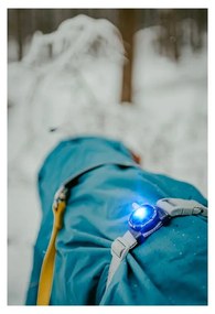 LED fény nyakörvre Blue - Orbiloc