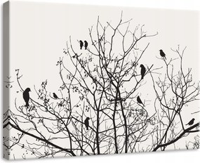 Vászonkép 70x50 Fekete-fehér sziluettek fák madarak tél minimalizmus grafika