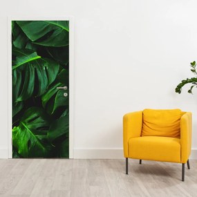 Fotótapéta ajtóra - Monstera levelek (95x205cm)