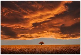 Poszterek 200x135 Narancssárga égbolt