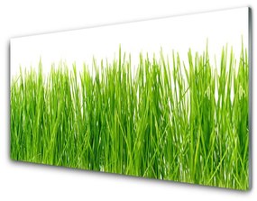 Üvegfotó Grass Nature Plant 100x50 cm 2 fogas