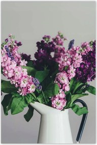 Poszterek 80x120 Habcsók ihlet