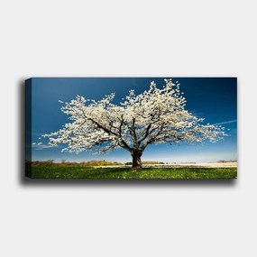 Fali dekoráció vászonkép 451ern1232 outlet