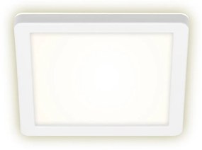 Briloner 3010-016 - LED Mennyezeti lámpa LED/8W/230V 19x19 cm fehér IP44