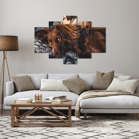 Egy kép fekvő kutyákról (150x105 cm)