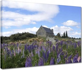 Vászonkép 40x30 Lila virágok domb