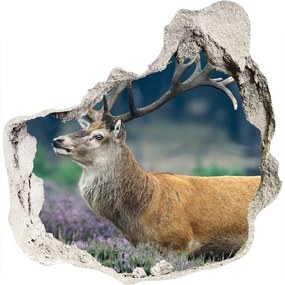 3d-s lyuk vizuális effektusok matrica Deer levendula nd-p-52700741
