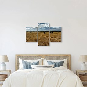 Betakarított gabona mező képe (90x60 cm)