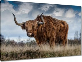 Vászonkép 120x80 Felvidéki tehén