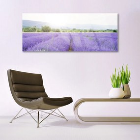 Üvegfotó Lavender Field Mező Természet 125x50 cm