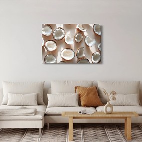 Kép - Kókuszdiók (90x60 cm)
