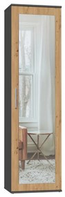 Riano Mix Duo tükrös szekrény, 50x180x35 cm, antracit-tölgy