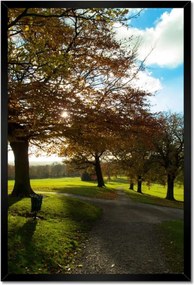 Poszterek keretben 40x60 Őszi tájkép