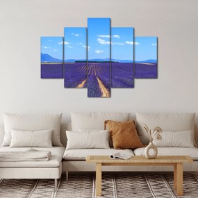 Kép - Levendula mező (150x105 cm)