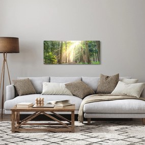 Egy ösvény képe az erdőben (120x50 cm)