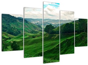 Kép - Teaültetvények Malajziában (150x105 cm)