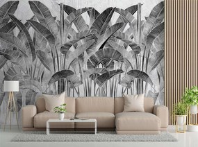 Gario Fotótapéta Banánlevelek fekete-fehérben Anyag: Vlies, Méret: 150 x 105 cm