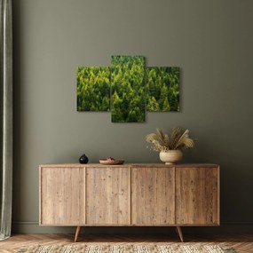 Kép - sűrű erdő (90x60 cm)