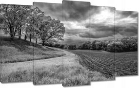 VĂĄszonkĂ©p 100x60 Fekete-fehĂ©r mezĆ