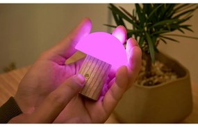 Natúr színű kőrisfa LED dimmelhető asztali lámpa (magasság 7 cm) Alice – Gingko