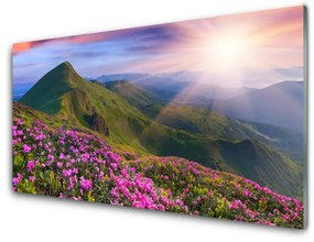 Fali üvegkép Mountain Meadow Virág Tájkép 100x50 cm 2 fogas