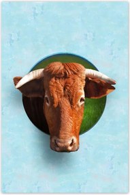 Poszterek 80x120 Szarvas tekintet Kék