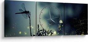 Kép - szitakötő a csillogó éjszakában (órával) (90x30 cm)