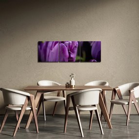 Tulipán vírág képe (órával) (90x30 cm)