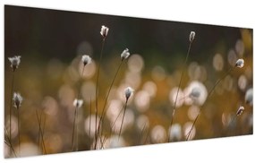 Kép - Gyapotfűvel borított rét N⁰2 (120x50 cm)