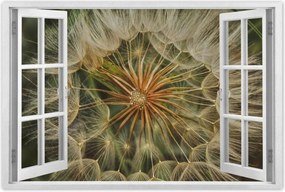 Poszterek 120x80 Pitypang Virág Virágok