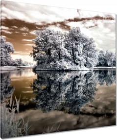 Vászonkép 80x80 Sziget a tavon