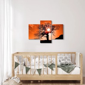 Kép - Tölgy napnyugtakor (90x60 cm)