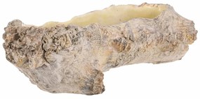 Virágcsomagolás, kivájt gyökér, 35 x 16 x 11 cm,beton
