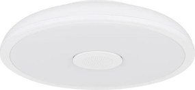 GLOBO 41366W RAFFY Kerek Mennyezeti Lámpa LED IP44